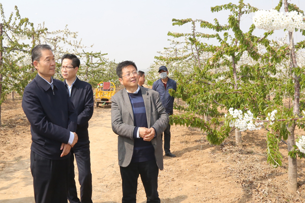 7ba0d0b9acdb4a0eac92088af6c18b0a.png 图片3.png